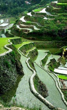 an aerial view of rice terraces in the countryside