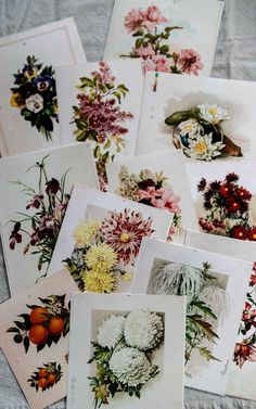 many different types of flowers are shown on the table top with white sheets and gray linens