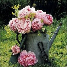 a watering can with pink flowers in it