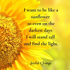 a sunflower with the words i want to be like a sunflower so even on the darkest days i will stand tall and find the light