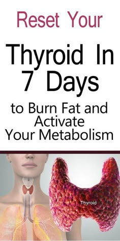 Thyroid Function, Thyroid Health, Diet Vegetarian, Smart Things, Diet Keto, Lose 50 Pounds, Burn Fat, Best Diets