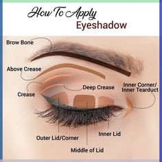 Gold Eye Makeup Step By Step, Eyeshadow Techniques Step By Step, Different Eye Shadow Styles, Eye Makeup Theory, Hooded Eye Makeup Guide, Makeup Theory Book, How To Apply Eye Shadow To Hooded Eyes Makeup Tutorials, Beaution Course, Partially Hooded Eye Makeup Tutorial