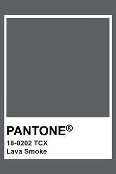 the pantone color is shown in grey and black, with an extra white border