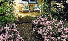 two white chairs sitting in front of a yellow building with blue windows and flowers around it