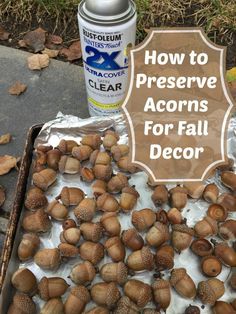 acorns on aluminum foil with text overlay how to preserve acorns for fall decor