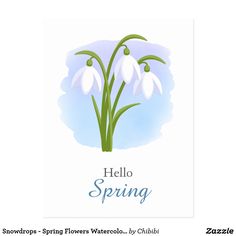 a greeting card with snowdrops and the words hello spring