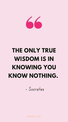 the only true wisdom is in know you know nothing - socrats