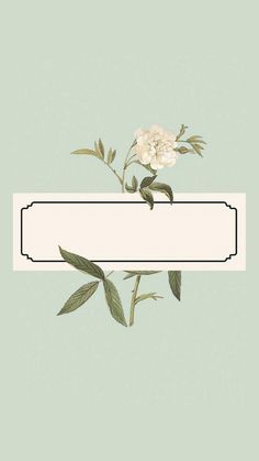 a white rose with green leaves on a light blue background is the center piece of this card