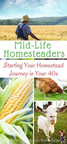 the cover of mid - life homesteads, featuring pictures of farm animals and corn