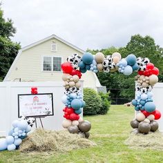 an inflatable balloon arch is decorated with soccer balls and balloons for a birthday party