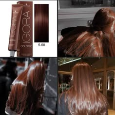 Color Hair Dye Ideas For Brunettes, Hair Color Idea For Brown Hair, Gold Brown Curly Hair, Chestnut Brown Hair Bob, Beyonce Dark Hair, Best Hair For Pale Skin, Hair Colour For Neutral Skin Tone, Dusky Skin Hair Colour Ideas, Different Hair Colors For Brunettes