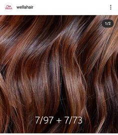 Chestnut Brown Hair, Wella Hair Color, Golden Brown Hair, Hair Color Formulas, Wella Hair, Wella Color, Hair Techniques, Vegan Hair, Brown Balayage