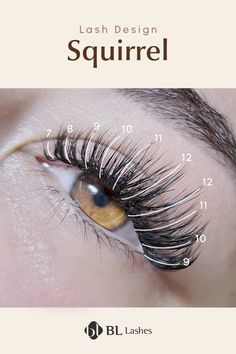 Discover the mapping for the squirrel-inspired lash extension design in this post! Squirrel Eyelash Extensions Mapping, Squirrel Lash Extensions Map, Squirrel Eye Lash Extensions, Squirrel Eyelash Mapping, Squirrel Lash Map, Squirrel Lashes, Squirrel Lash Extensions, Squirrel Eyelash Extensions, Lashify Maps