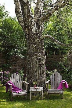 two chairs sitting under a tree in the grass