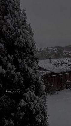 a snow covered yard with trees in the foreground and houses in the background on a snowy day