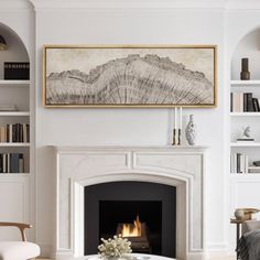 a living room filled with furniture and a fire place in front of a book shelf