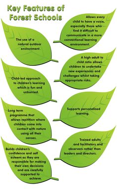 four green leaves with the words key features of forest schools written below each leaf,