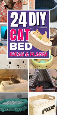 cat bed ideas and plans are featured in this collage with the words, 24 diy cat bed ideas and plans