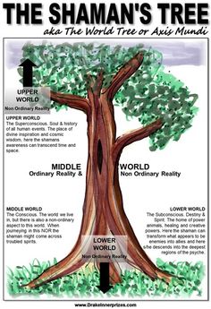 the shanman's tree and its world tree is shown in this graphic above