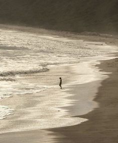 a lone person walking along the beach near the ocean