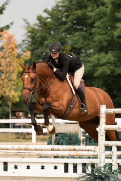 a woman riding on the back of a brown horse jumping over an obstacle with trees in the background