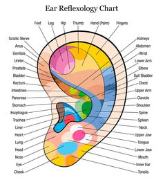 Ear Reflexology, Ear Massage, Hand Reflexology, Reflexology Chart, Diagram Chart, Foot Reflexology, Sciatic Nerve