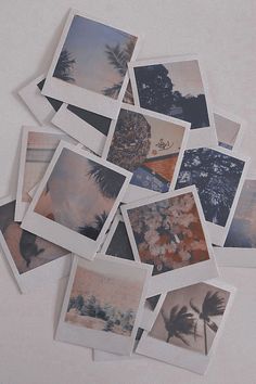 several polaroid photographs are arranged on a white surface with palm trees in the background