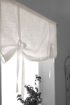 a potted plant sitting in front of a window covered with white sheer curtaines