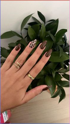 Dark brown almond autumn nails with leopard print Fall Leapord Nails, Almond Autumn Nails, Nails With Leopard Print, Fall Autumn Nails, Leopard Nail Designs, Zebra Print Nails, Cheetah Print Nails, Brown Nails Design, Maroon Nails