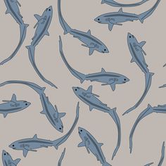 a group of fish that are swimming in the water together on a gray background with blue outlines