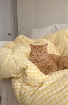 an orange cat laying on top of a yellow and white comforter in a bed