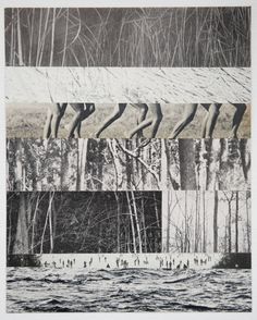 four different images of trees and water in black and white, each with an individual's body