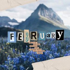 the word february spelled with wooden blocks in front of mountains and blue wildflowers