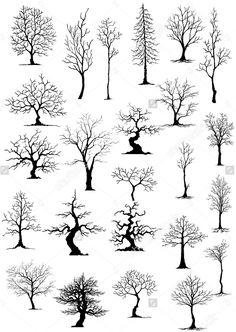 black and white tree silhouettes set with snow on the ground, trees in winter