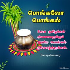 an image of a pot with plants in it and the words dr b thukumanari