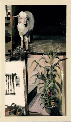 an image of a goat standing in the middle of three pictures, one is eating grass