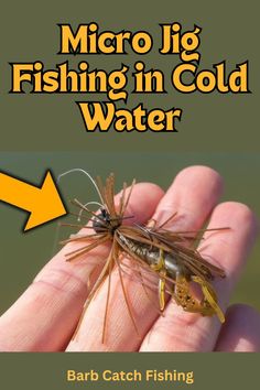 a hand holding a small insect in it's palm with the caption micro lig fishing in cold water