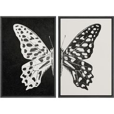 two black and white paintings with butterflies on the same wall, one has a large butterfly in it's wings