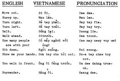 some type of language that is written in black and white, with the words vietnamese and english on it