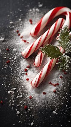 candy canes and peppermint sprigs on snow