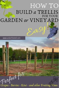 an image of how to build a trellis for your garden or vineyard easy