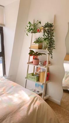 a bedroom with a bed, mirror and plant shelf