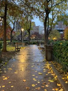 an empty park with benches and trees in the fall