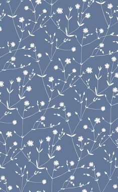 a blue background with white flowers and leaves on the top right corner is an image of small, thin branches