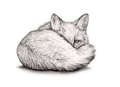 a black and white drawing of a fox laying on the ground with its eyes closed