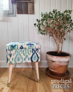 a potted plant sitting on top of a wooden floor next to a foot stool