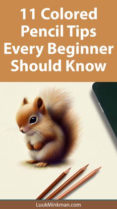 an image of a squirrel with pencils on it and the title 11 colored pencil tips every beginner should know