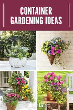 four pictures of containers with flowers in them and the words container gardening ideas written below