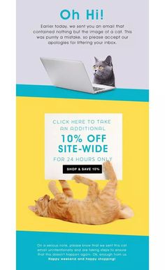 a cat laying on top of a laptop computer next to a sign that says, click here to take 10 % off site - wide for 24 hours only