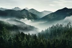 the mountains are covered in fog and low lying clouds as they rise above the trees